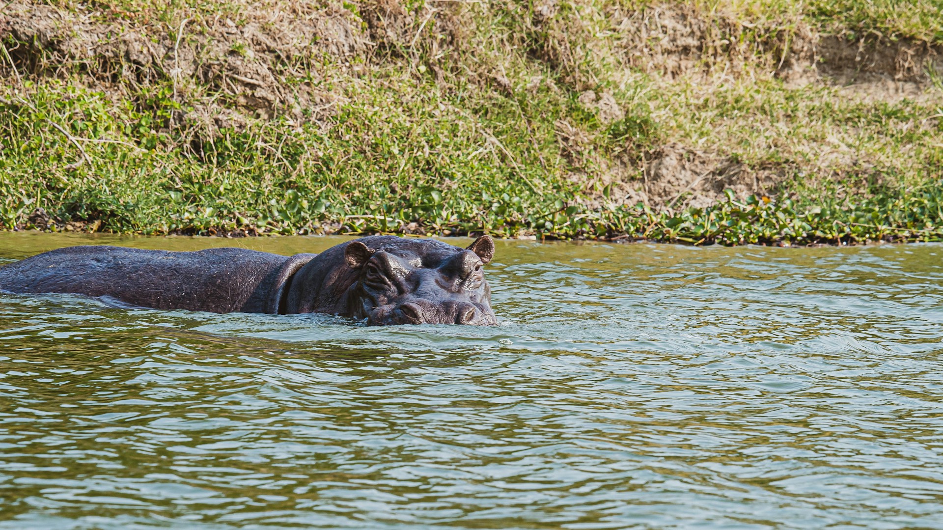 queen elizabeth national park