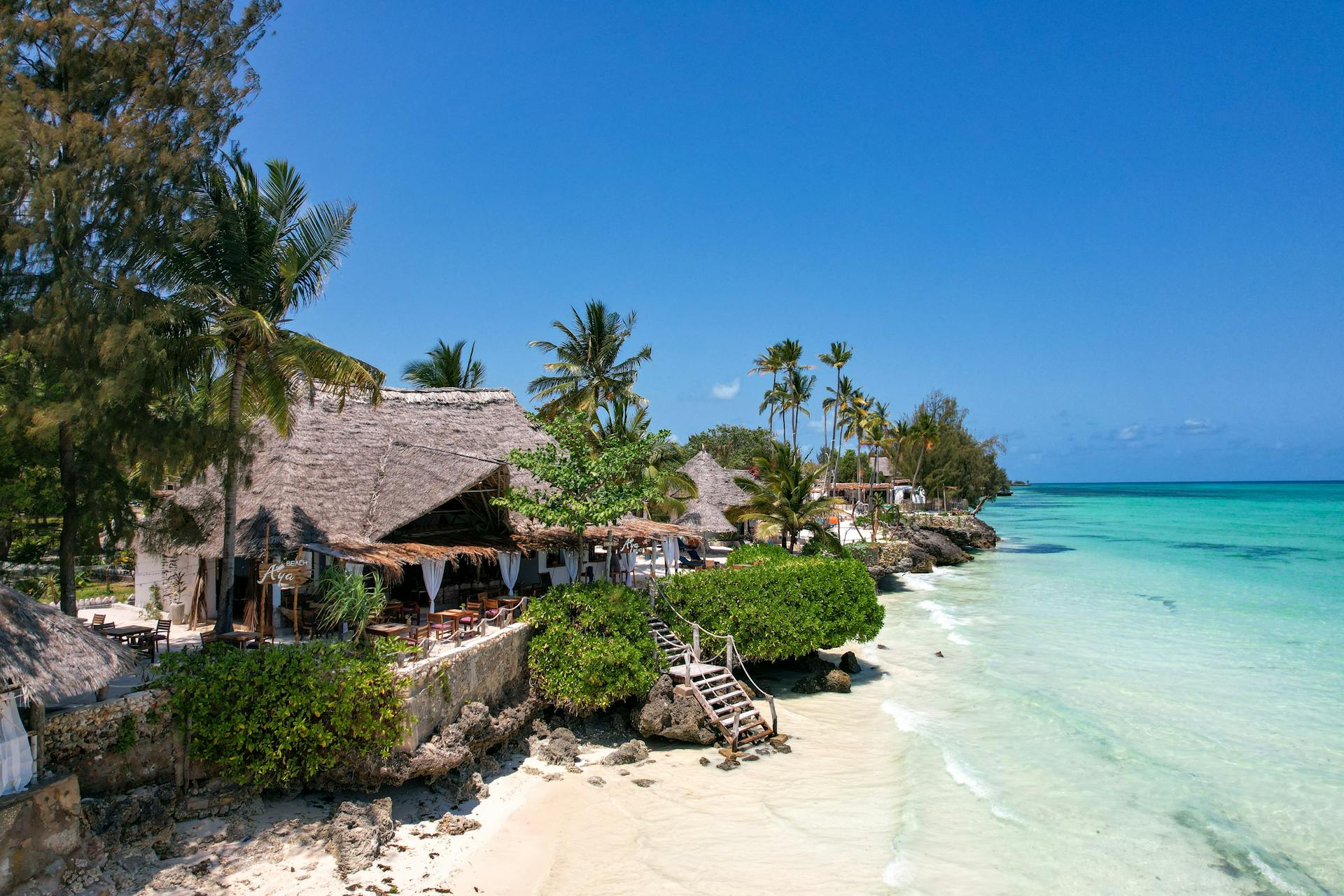 11 days safari and zanzibar